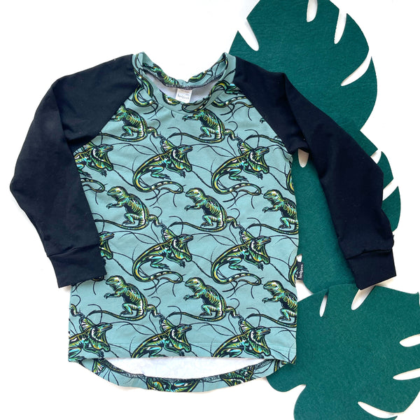 Dinosaur Long Sleeve Top