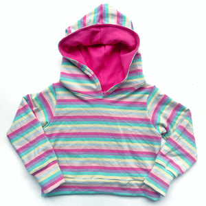 Rainbow Stripe Crop Hoodie